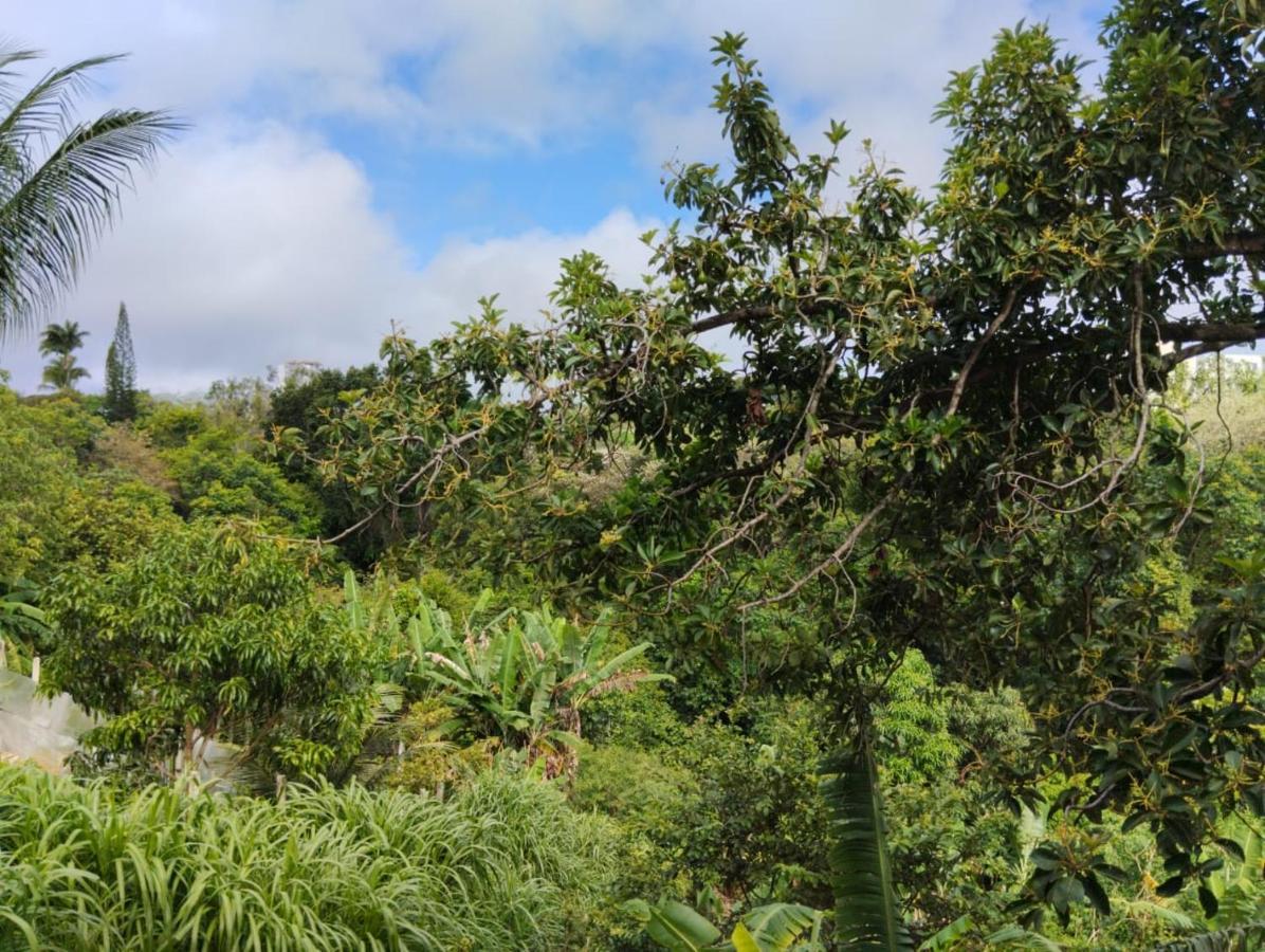 Apartamento Cercado Por Natureza E Diversao Maceió Екстериор снимка